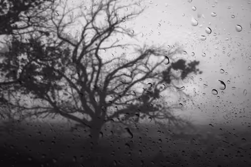 Item #92453260968842960055191976889840526664419783576829596708965298261505098121217 Media