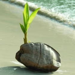 plant#00002
