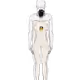 47398293080276619774378674437736471492816301121315719141682632852047430418532