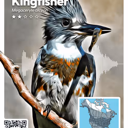 26102390610025884852824728088708208703251930988161684574571712836295045677081