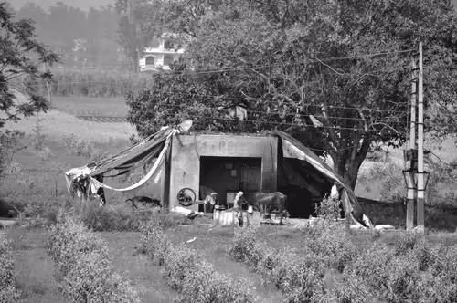 Item #109579018027133606473158902058456759875658318669045531735484408609781240037377 Media