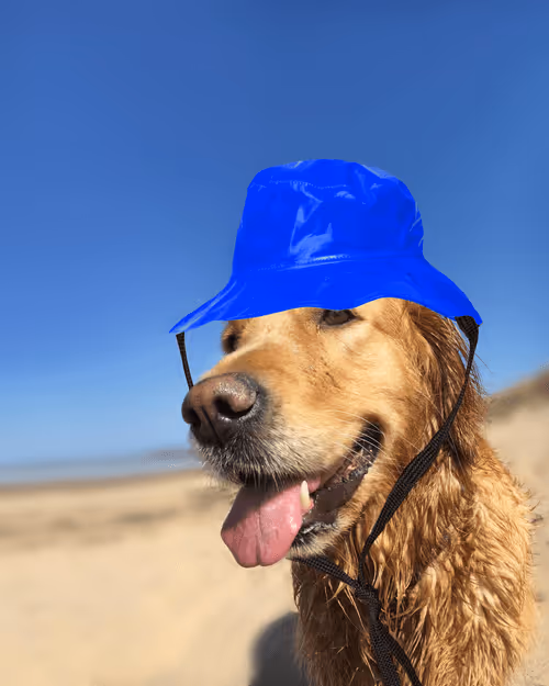 Item #26839399415497039076862880694069072006331525189107682525417321726910482350081 Media