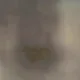 82588131702692361654030009907028253262242933310184340683772663075563229937665