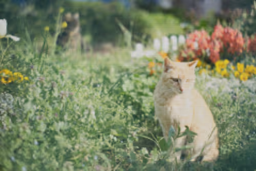 Item #42068797716410794441673818028906966983709773794911645619704857591039150522369 Media