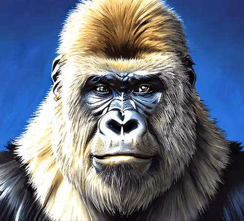 Item #24208002155086398990721178205637471765407571328590730514943596867231227576321 Media