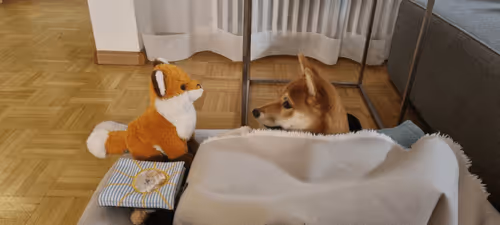 Item #51858709847349082355477028651242767391039160802379825665602477034687134957569 Media