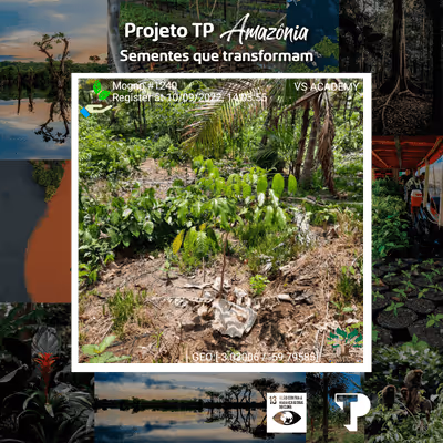 Item #8500196597889277390194123329501889087166328879864934763448348960055755800577 Media