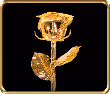 Item #60240780000774987021934310418746614545437064718156119148416063190894202847233 Media