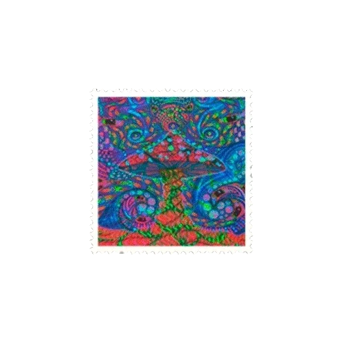 Item #21320919599525787525857032761926138731981811936514015310088965817012311818241 Media