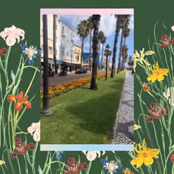 Cascais Walkway