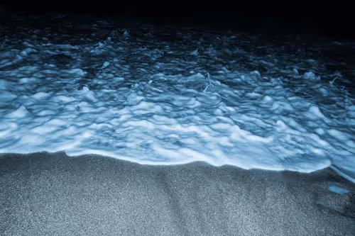 Item #65334289746679534718729475887804441956060191570096093289886828068489331212289 Media