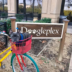 99031261785432219130552668818269695456905868997165113515571762529257952116737