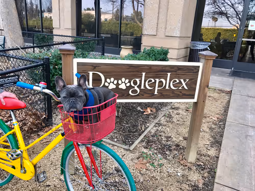 Item #99031261785432219130552668818269695456905868997165113515571762529257952116737 Media