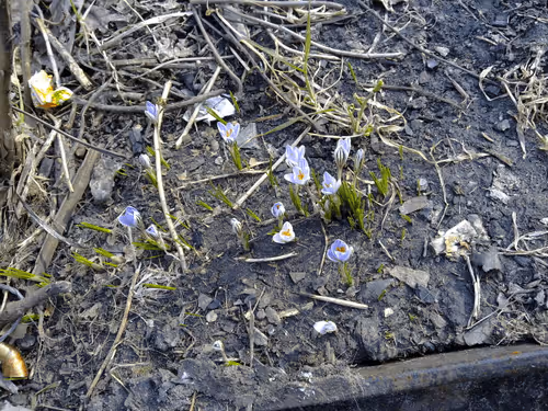 Item #41983459946325006344850038724007157971914249844141491949312560897805766361089 Media