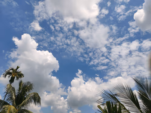 Item #38304659497816311300520956419681719927441087838656269258437146676915817414657 Media