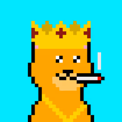 90563394352690505221166821639831502595964177235090668543198269897312128991233