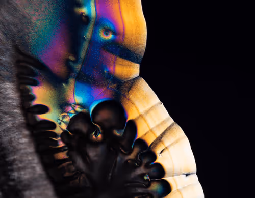 Item #10963747158726230323476698717181339106024031103904100561308612023776679297025 Media