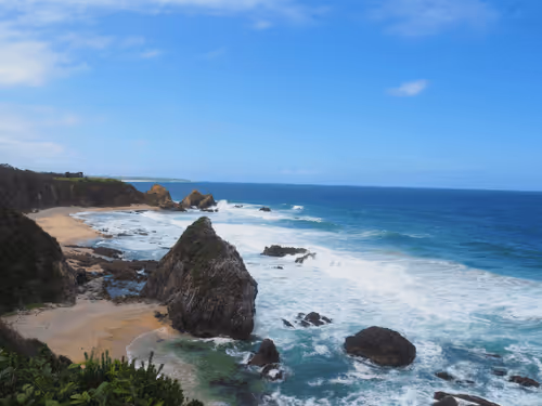 Burmagui