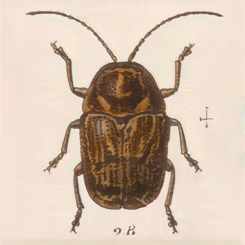 Item #58241160855422744817468407088196322100109565521561100950236904818011436744705 Media