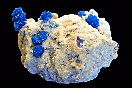 Item #94096604826532313810021462276079008274490893871398392433461387216921420628000 Media