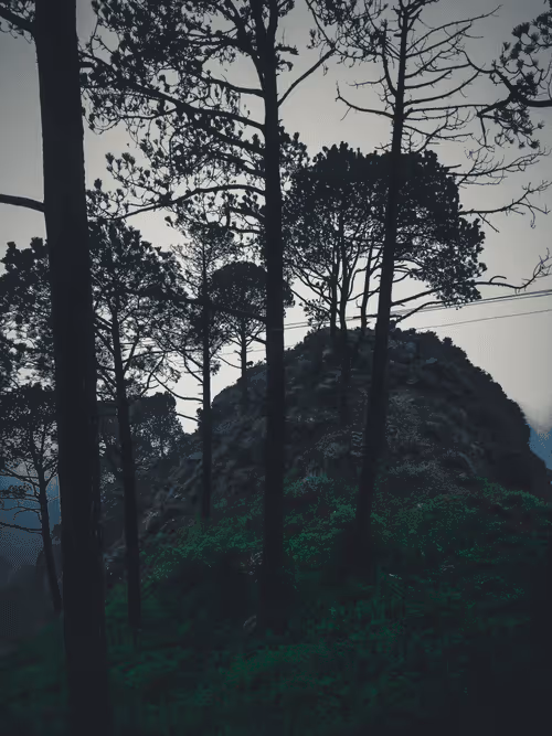 Item #61674817158369570074812173308133646434472829934339960245791451961114782334977 Media