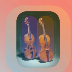 violin