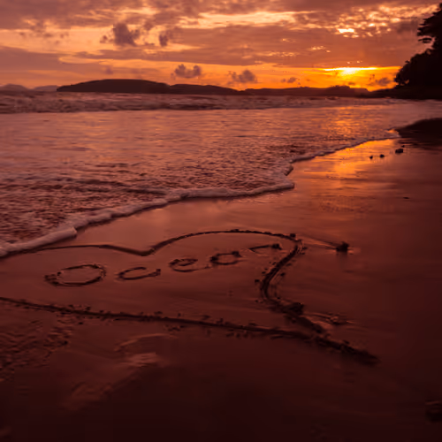 109490832129019688530510015622516671857324775840030093758317008312900048125953