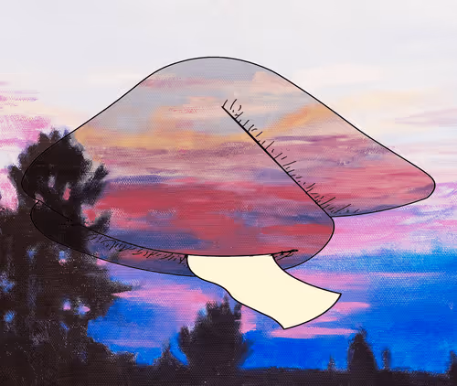 Item #56177743258238353915692039261457950691196406802314425732675602497014656401411 Media