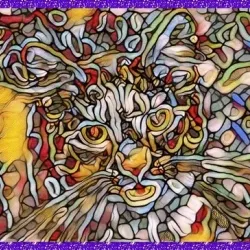 CAT ART