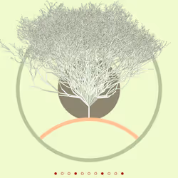 74168867016011539093366687608765447348507224284888477074887989708881573969921