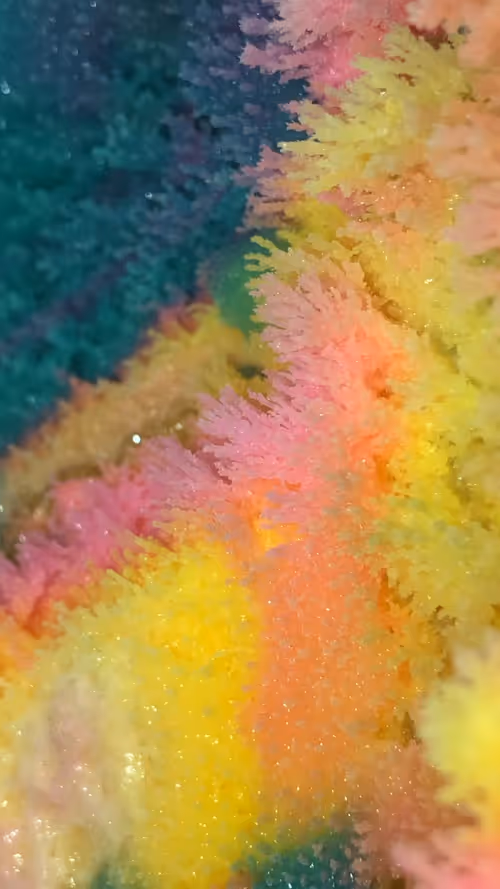 Item #103885025886889579792997648769749987524865297956163069988975955010344347238401 Media