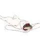 47398293080276619774378674437736471492816301121315719141682632817962569957476