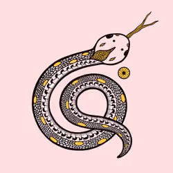 Snake wisdom