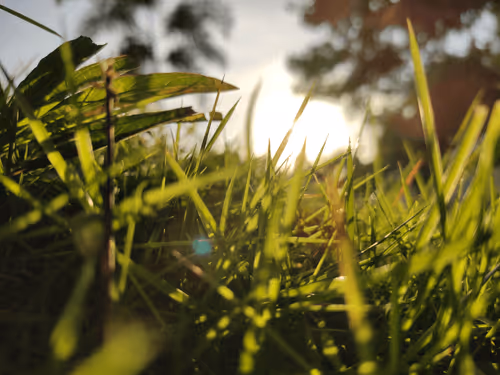 HiImSoulzz Collection