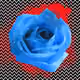 47617452219842574370957576608560851857569331776292145113798655475523893854213
