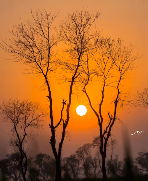 Item #9104047852343460824823657095955061139286762947505329334286274249992263696385 Media