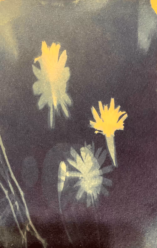 Item #79708962715556691089278777526445721574606898875148265995553784922713463193601 Media