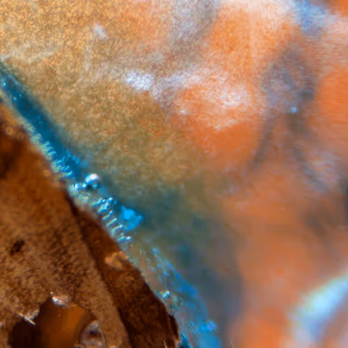 Item #8251270981130702250905355697814279819197198943221984468281114998665902030849 Media