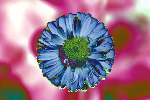 Item #97472780855113725442361506406406632137290984226550429674679319491266213838849 Media