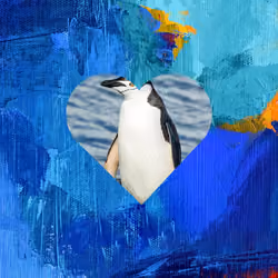penguin nft