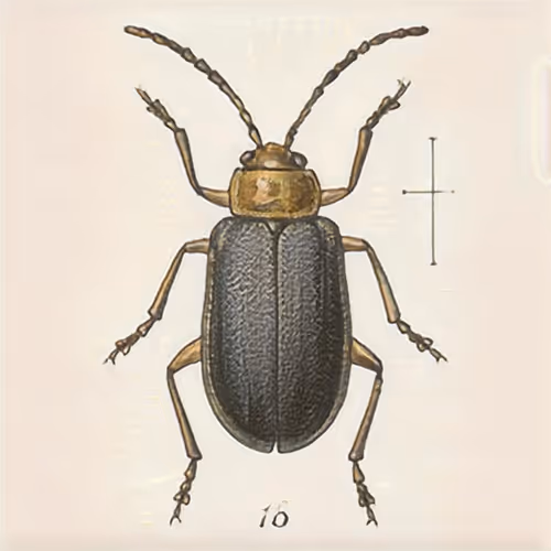 Item #58241160855422744817468407088196322100109565521561100950236904658582250717185 Media