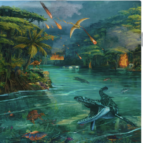 Item #52429307488050300176719981444512046623277633011962175721990261013112757944321 Media