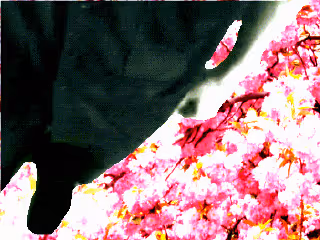 Item #36049036210915542891603514203013099125599246175484305955535371976287715328001 Media