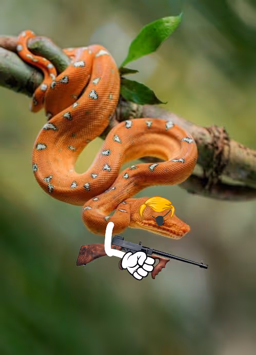 Item #49528553819611158689543245680762430224046431840964854288892804193806475853825 Media