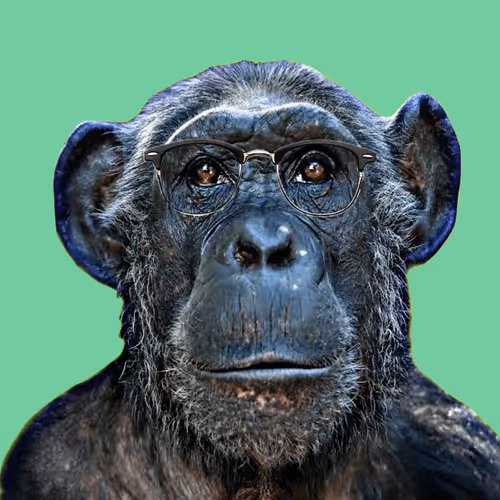 Item #18229978679118380539755822762608321852461242058340085351680553085539025158164 Media