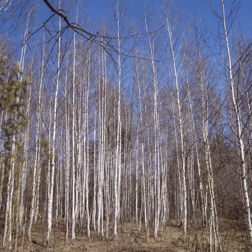 Item #39781805688626842994046507888546694714899270474383352618679520628104277000193 Media