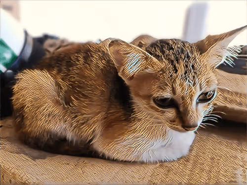 Item #74122138759525378795667626270866148487737655975912799548892276675060613251073 Media