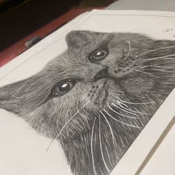Cat By Artone11