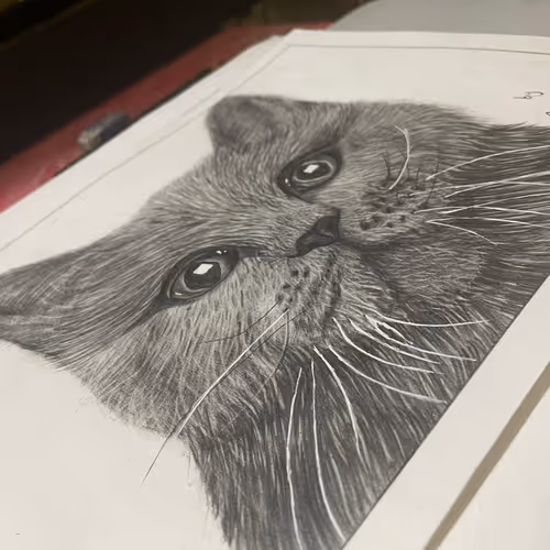 3402460920008113057782781931590306013260783821699587064359915662106895056897