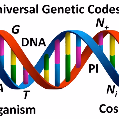 Item #5561290673271880013928634445381240236039195957160147987052434752794508918785 Media